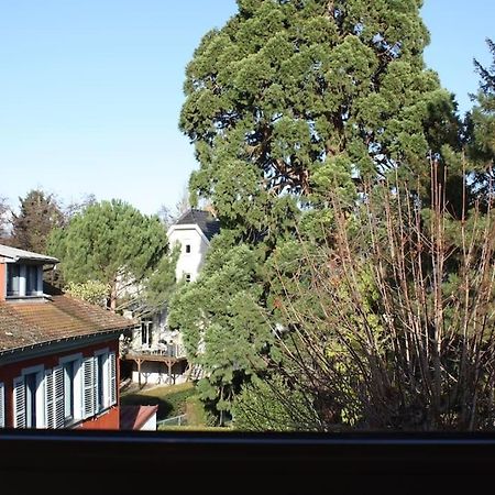 Superb Apt- Garden- 3 Parkings, Near Petite Venise ! Кольмар Екстер'єр фото
