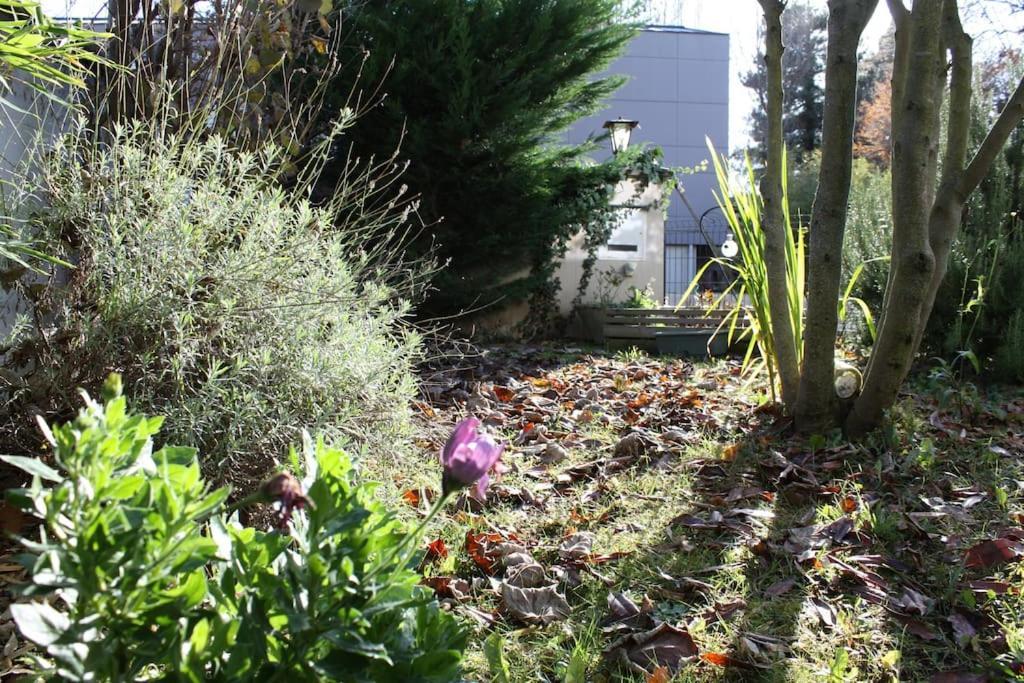 Superb Apt- Garden- 3 Parkings, Near Petite Venise ! Кольмар Екстер'єр фото