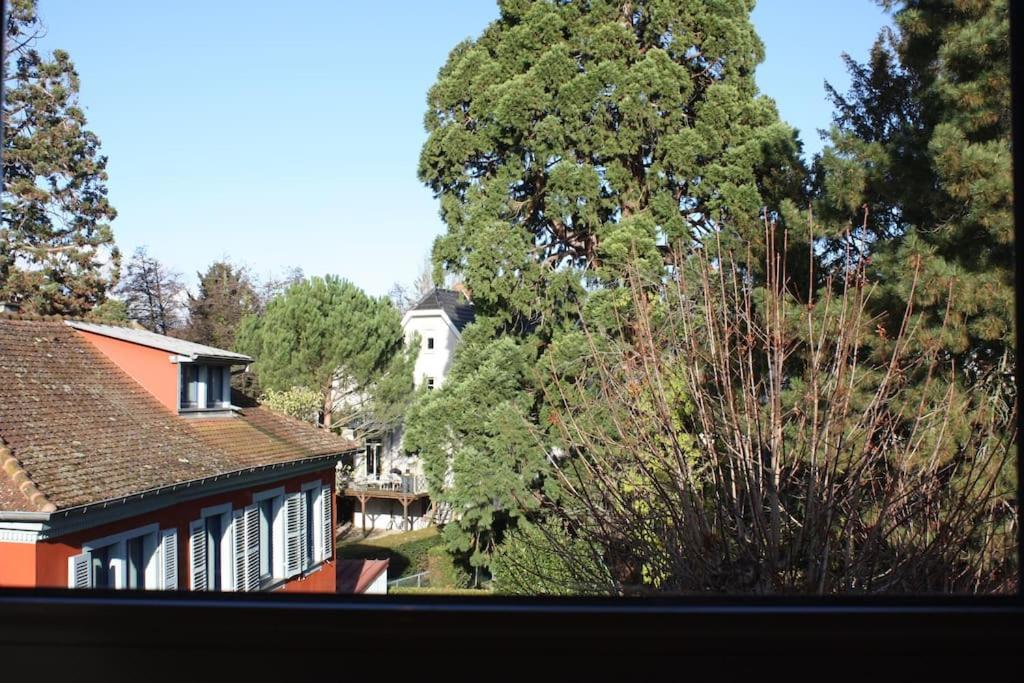 Superb Apt- Garden- 3 Parkings, Near Petite Venise ! Кольмар Екстер'єр фото
